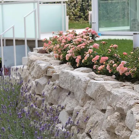 Il Pozzo サン・ベネデット・デル・トロント